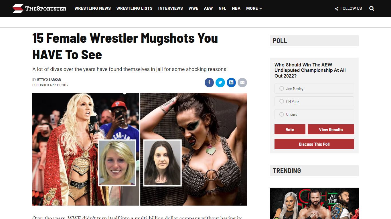 15 Female Wrestler Mugshots You HAVE To See - TheSportster