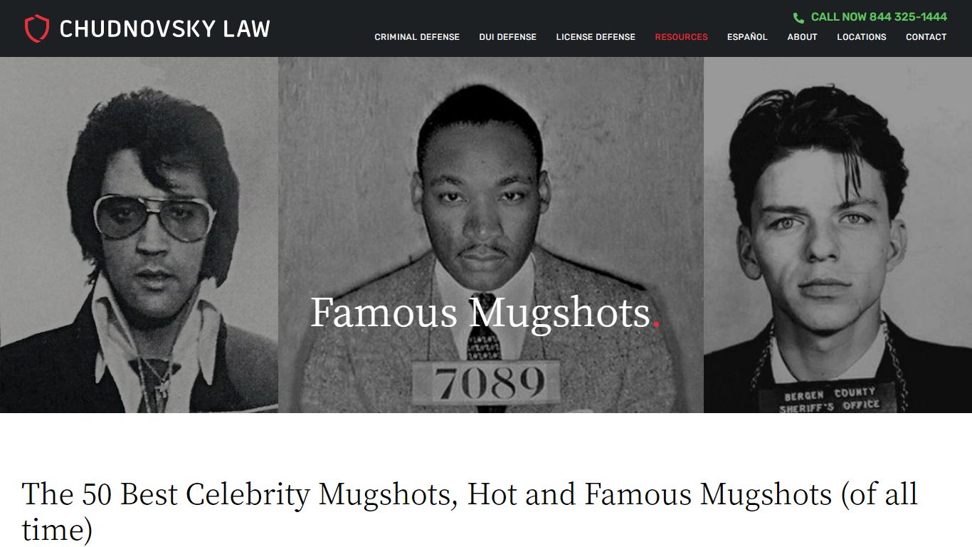 MUGSHOTS | The 50 Best Celebrity, Hot Mugshots (of all time)